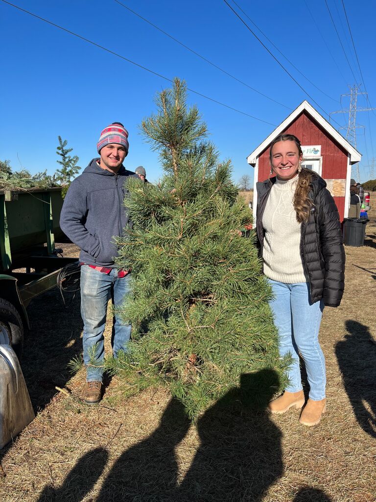 Our first Christmas tree!