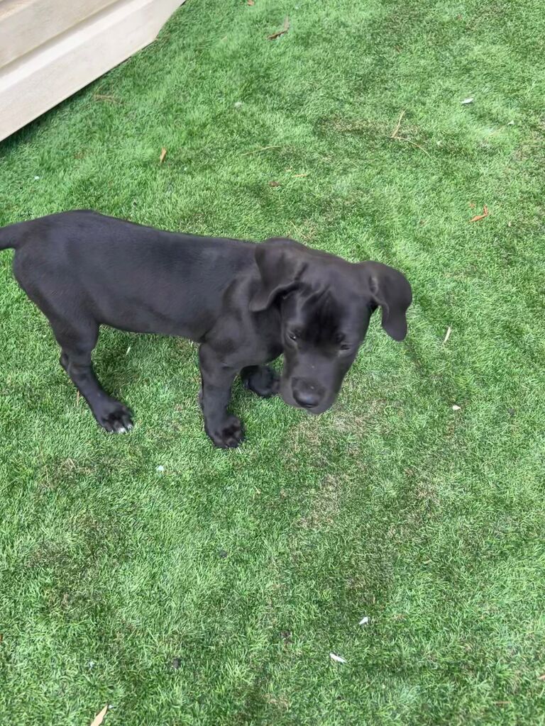 “This yards all for me?”