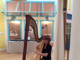 Susan Knapp Thomas, Harpist - Harpist - Hartford, CT - Hero Gallery 1