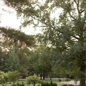 Gallery Photo 20