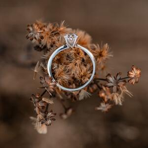 Gallery Photo 14