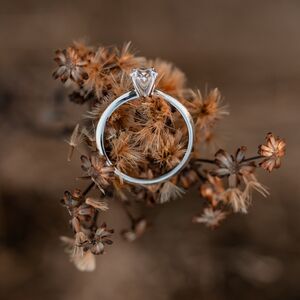 Gallery Photo 14