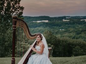 Harp & Soul - Harpist - Pottstown, PA - Hero Gallery 1