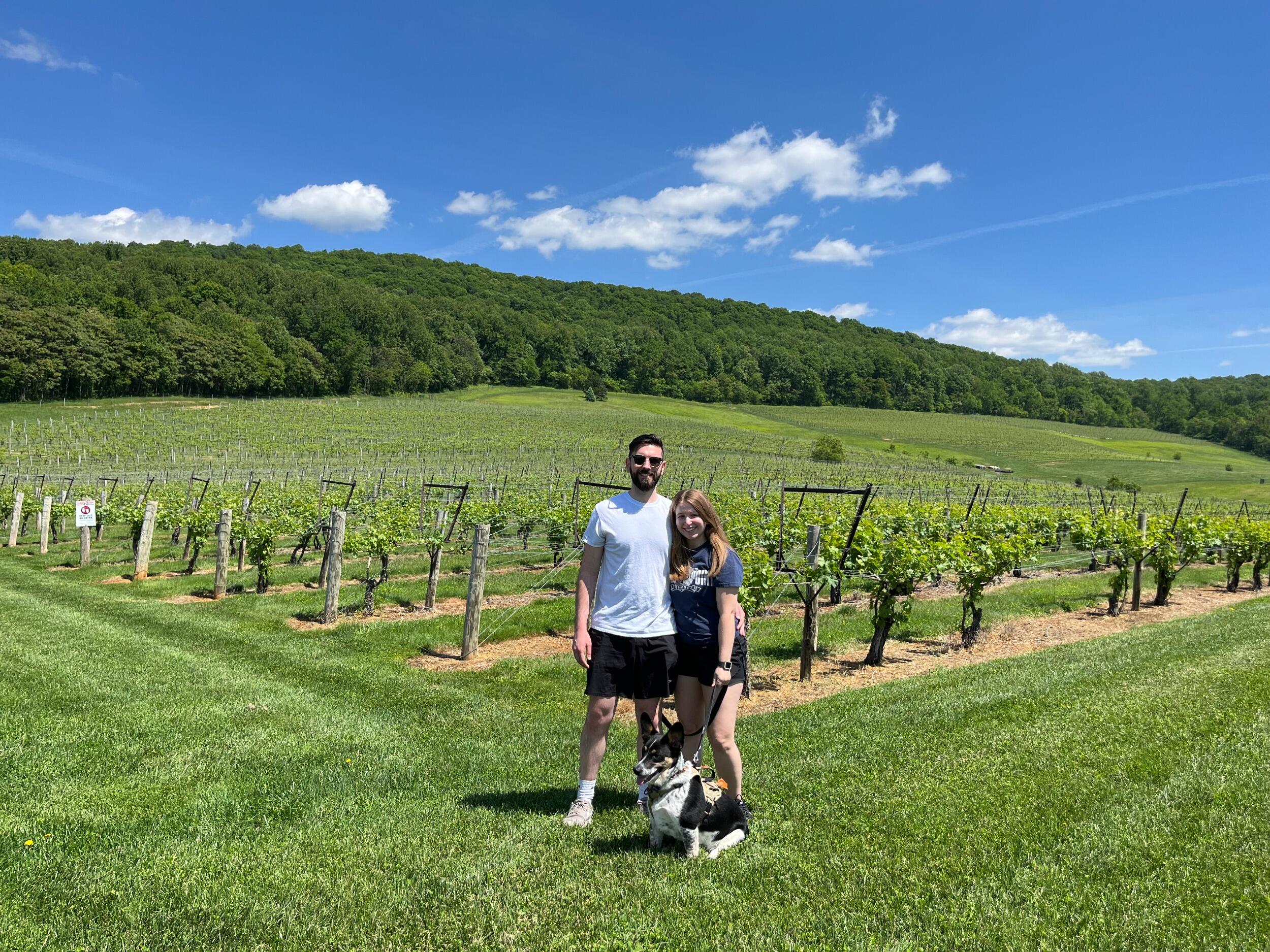 Winery outing with our new dog, Franklin!