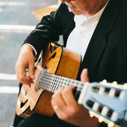 Wedding Guitarist Classical Spanish Pop, profile image