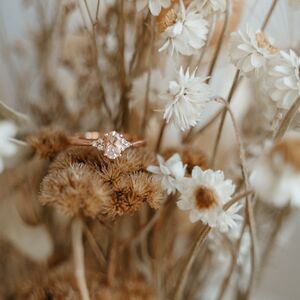 Gallery Photo 16