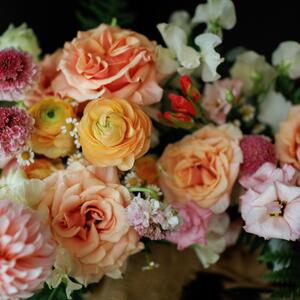 Gallery Photo 116