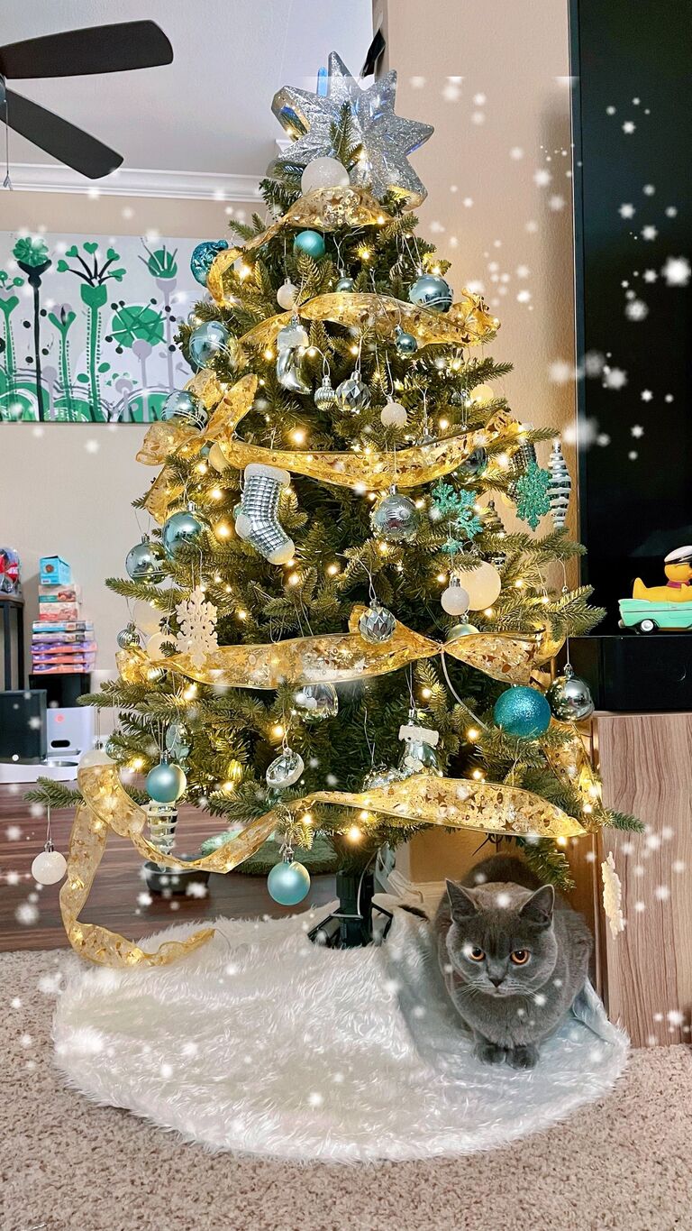 First chirstmas tree