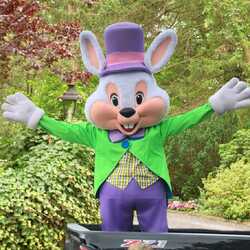 The Pure Imagination Party Company, profile image