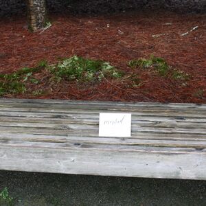 Gallery Photo 3