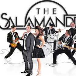 The Salamanders, profile image
