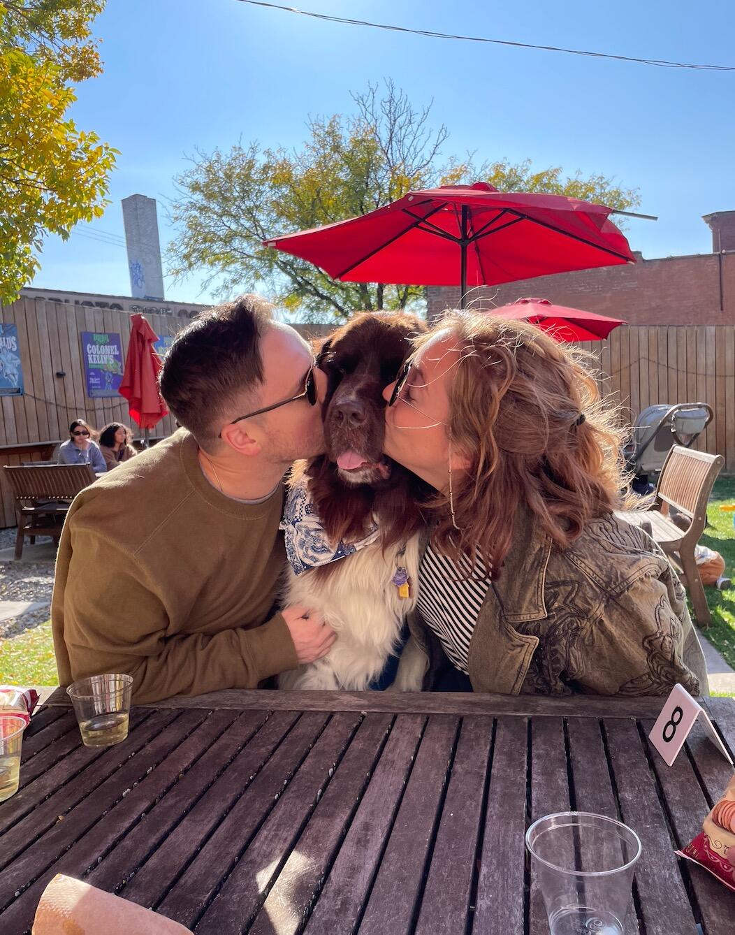 Stella joins the family :)