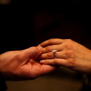 Gallery Photo 11