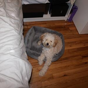 Gallery Photo 73