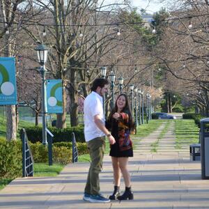 Gallery Photo 14