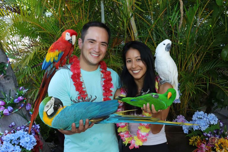 On our first visit to Hawaii together, Kinnaird insisted on taking a goofy tourist picture with the parrots. Classic.