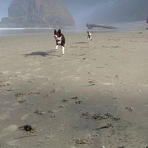 Gallery Photo 32