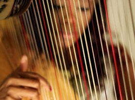 Lyrika Holmes- Atlanta Harpist - Harpist - Smyrna, GA - Hero Gallery 3
