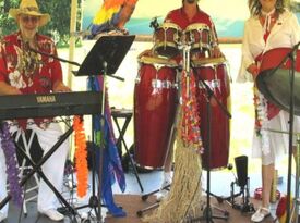 The Calypso Gypsies Steel Drum Band - Steel Drum Band - Diamond, OH - Hero Gallery 1