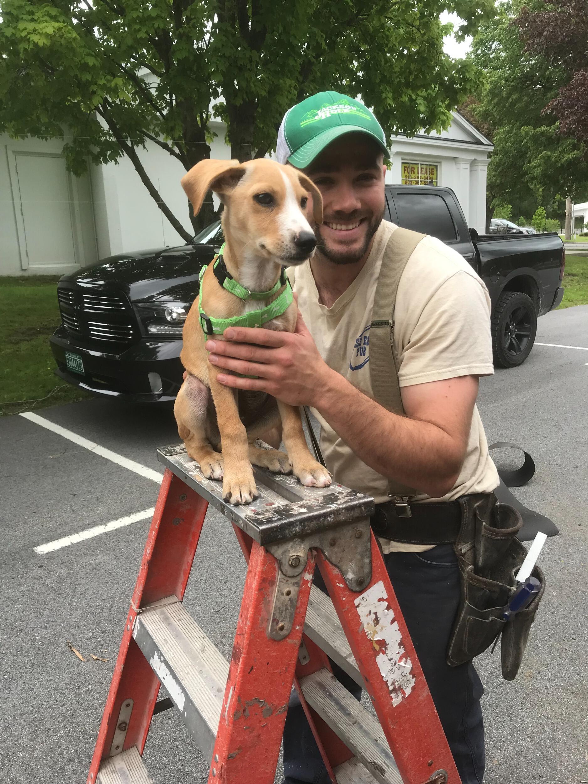 Chris & Winston hard at work renovating the soon to be Haigs Sports Bar!