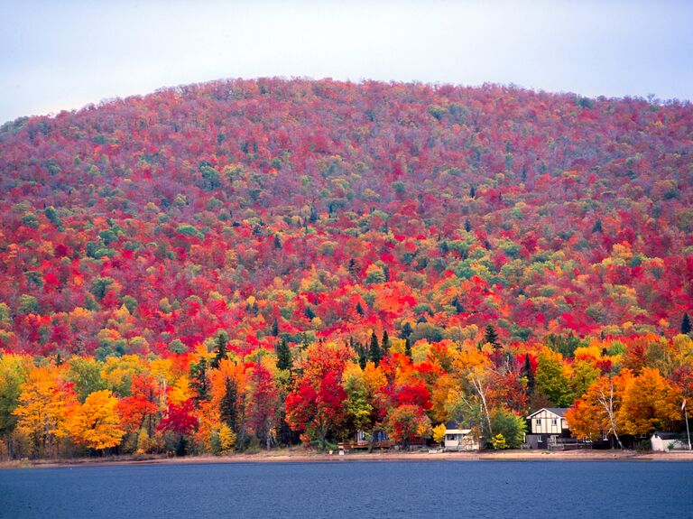 The gorgeous autumn leaves of Muskoka, Canada