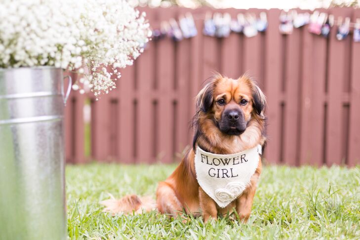 Having animals in weddings is a wedding trend for 2018, as predicted by Etsy - Josephs Jewelers