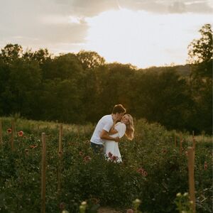 Gallery Photo 8