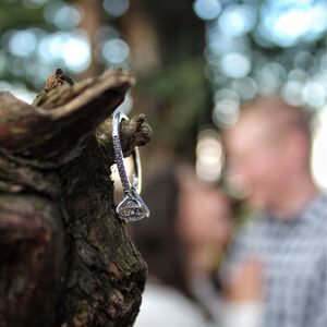 Gallery Photo 32