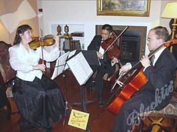 Amadeus String Ensembles - String Quartet - Denver, CO - Hero Main
