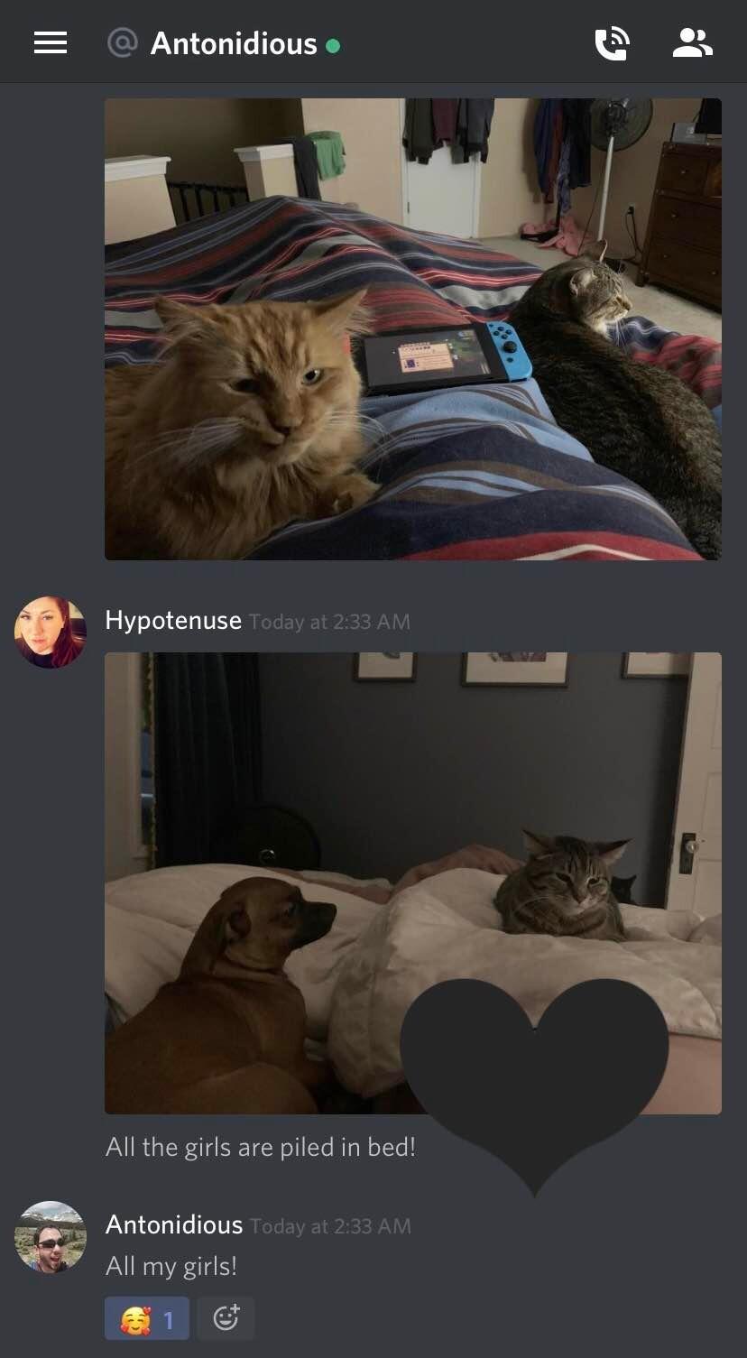 Winter 2020 is mostly filled with messages like these, shared between David and Sally from afar.