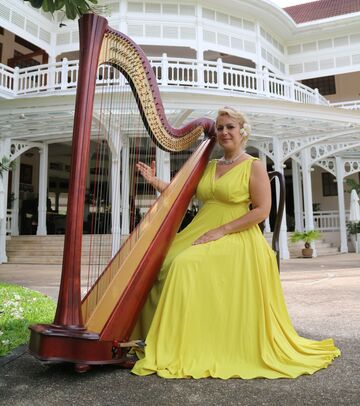 Harpist Chiara Capobianco - Harpist - San Diego, CA - Hero Main