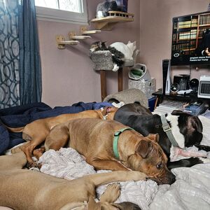 Gallery Photo 208