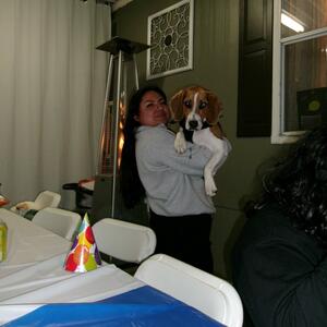 Gallery Photo 26