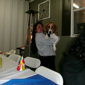 Gallery Photo 26