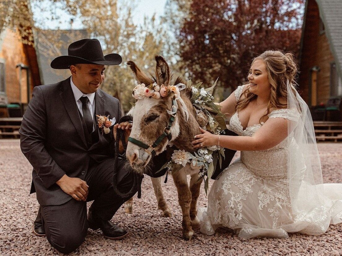 Couple kneeling down and petting beer donkey