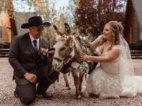 Couple kneeling down and petting beer donkey