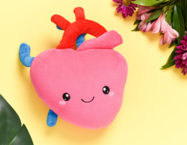 Heart organ plushie with face