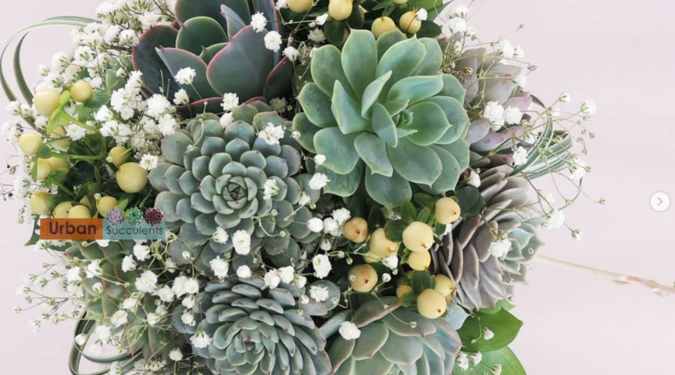 long planters boxes 12 Inch Succulent Pots Long Rectangle Succulent Planter Pots with Dra –  artketty main image 1