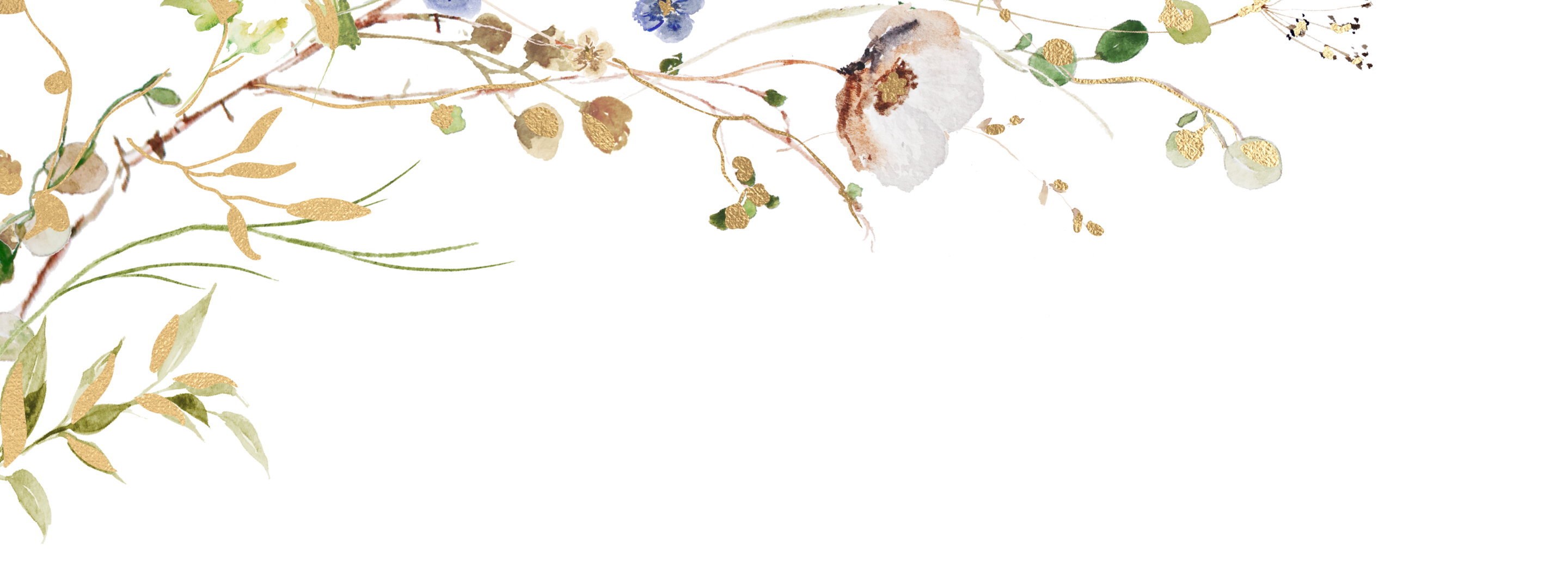 Top Theme Image