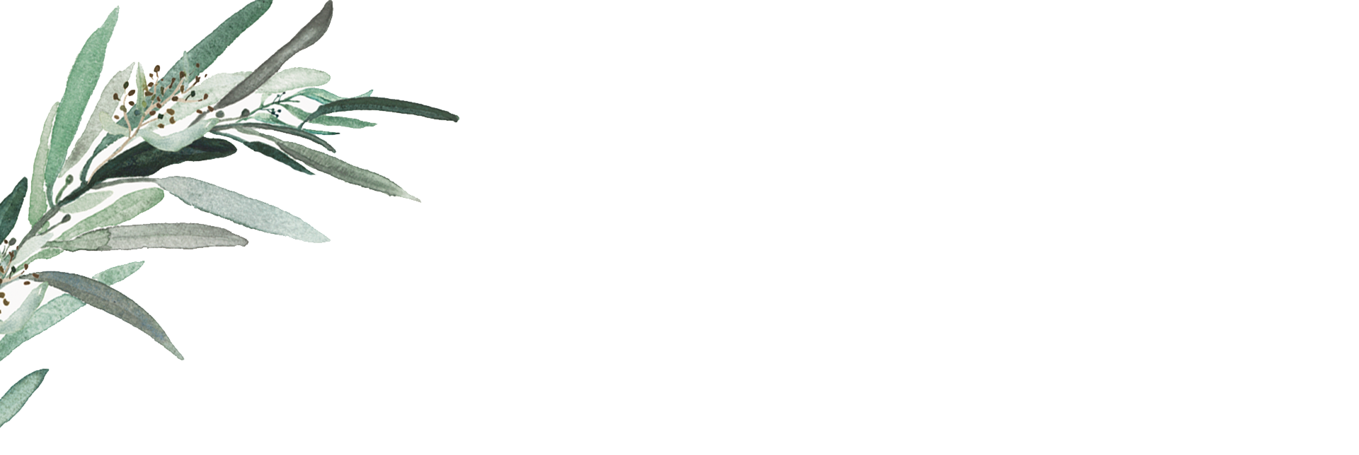 Top Theme Image
