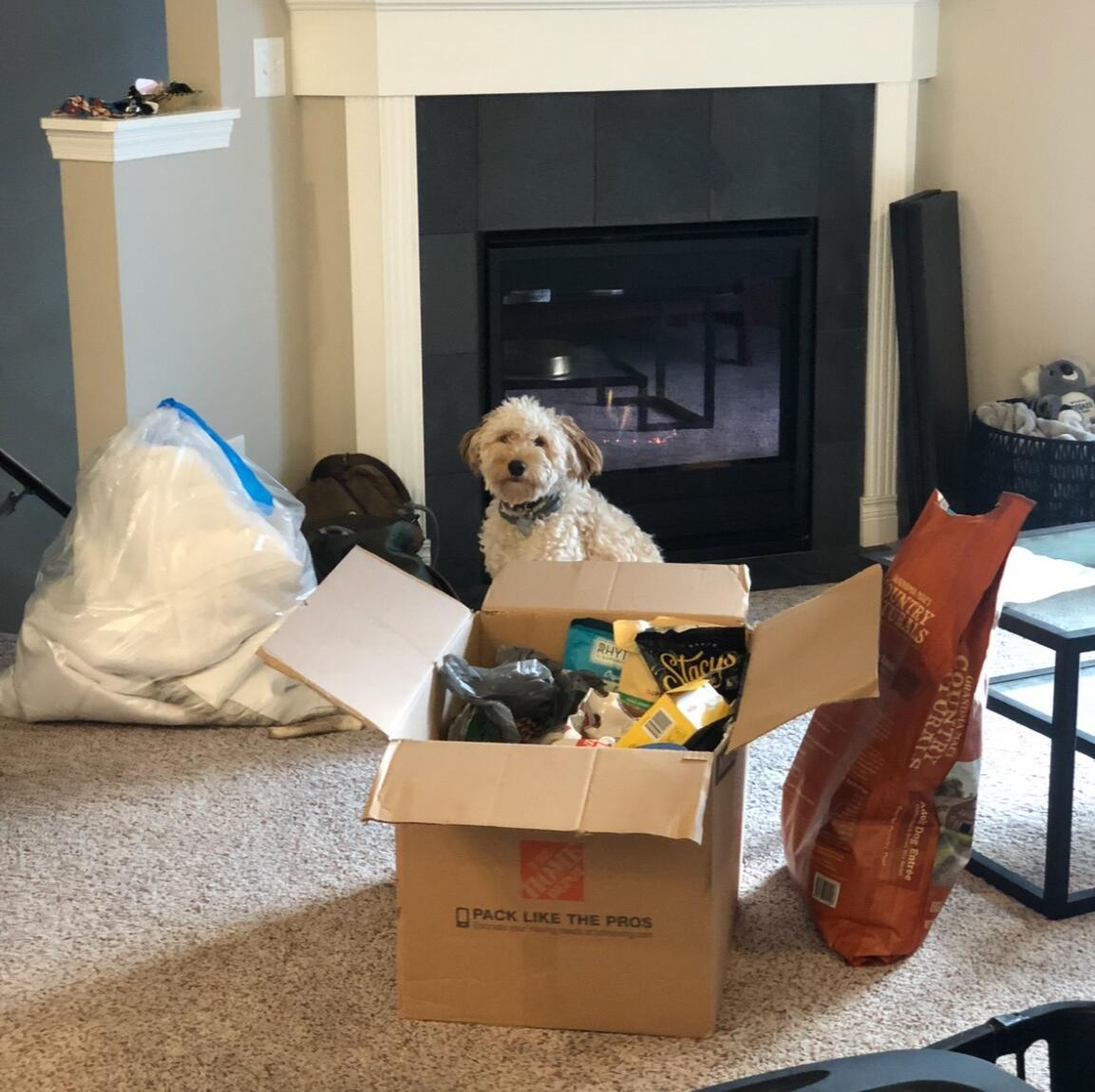 Moved in together 🤍 Lake Geneva