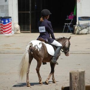 Gallery Photo 35