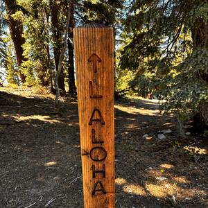 Gallery Photo 38