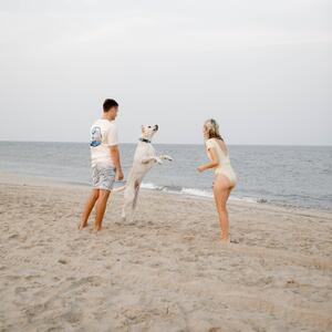 Gallery Photo 19