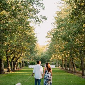 Gallery Photo 6