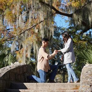 Gallery Photo 28