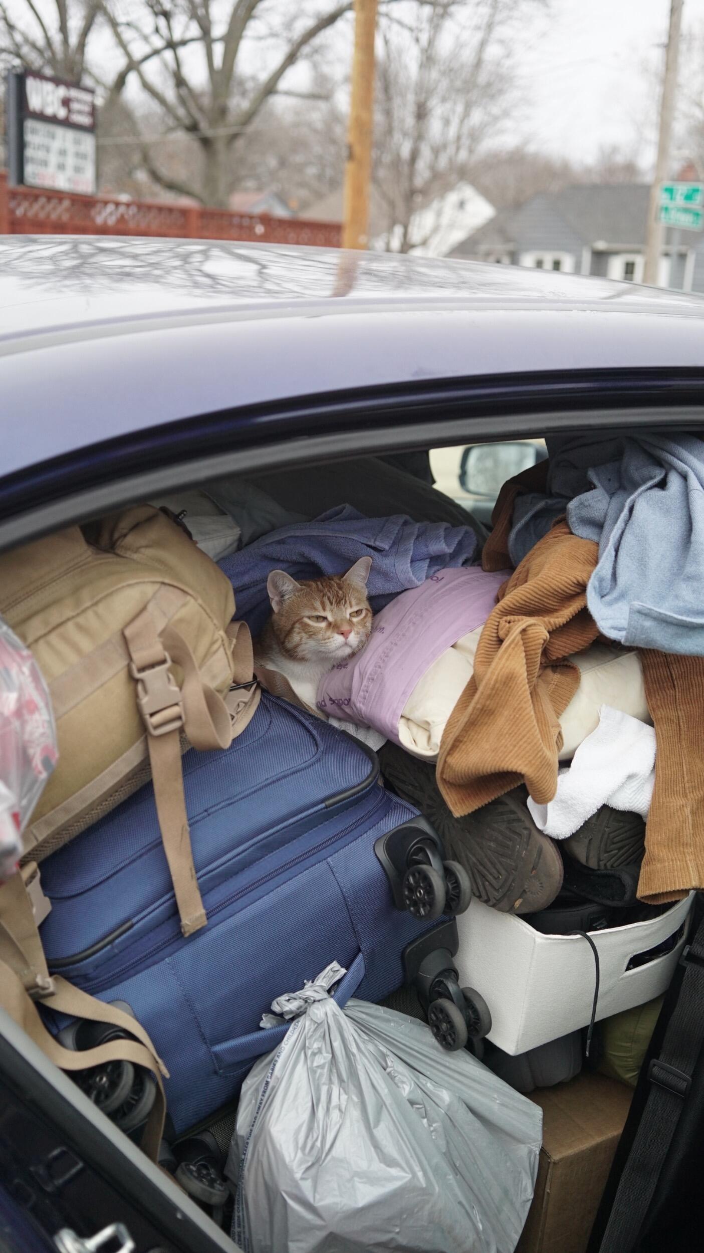 Officially returning to LA, with our lives packed into the Honda Accord driving cross country.