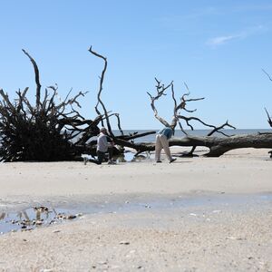 Gallery Photo 19