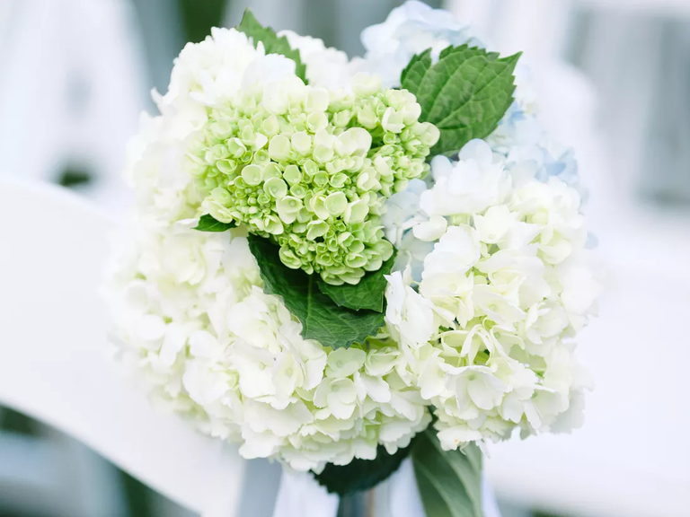 White viburnum flower arrangements
