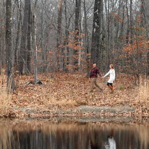 Gallery Photo 42